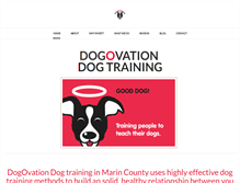 Tablet Screenshot of dogovation.com